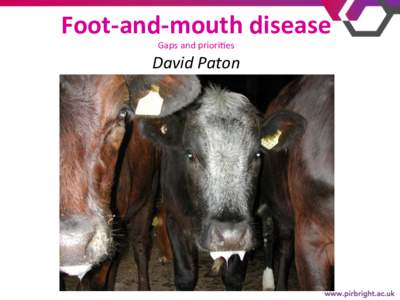 Foot-­‐and-­‐mouth	
  disease	
   Gaps	
  and	
  priori+es    David	
  Paton	
  