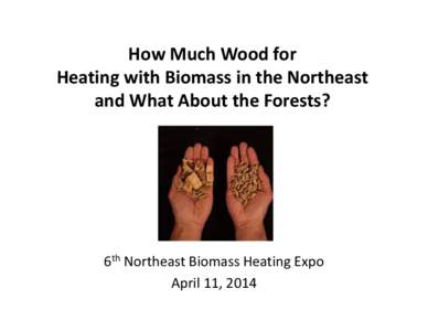 How Much Wood for  Heating with Biomass in the Northeast  and What About the Forests?