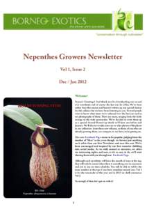 Nepenthes Growers Newsletter Vol 1, Issue 2 Dec / Jan 2012 Welcome! Season’s Greetings! And thank you for downloading our second ever newsletter and of course the last one for[removed]We’ve been