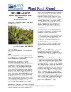 Plant Fact Sheet PRAIRIE ACACIA Acacia angustissima (P. Mill.)