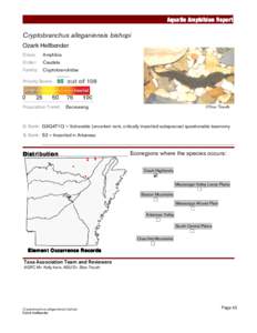 Eurycea / Cave salamanders / Stanley E. Trauth / Hellbender / Brook salamander / Grotto salamander / Oklahoma salamander / Ozarks / Eutrophication / Amphibian