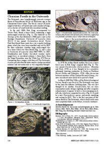 REPORT  Charnian Fossils in the Outwoods