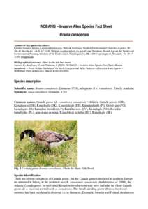 Alien Invasive Species Profile (factsheet)