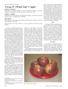 HORTSCIENCE 44(1):198–[removed].  ‘Co-op 31’ (WineCrispä) Apple Schuyler S. Korban1 Department of Natural Resources and Environmental Sciences, University of Illinois, 310 ERML, 1201 West Gregory, Urbana, IL 61801