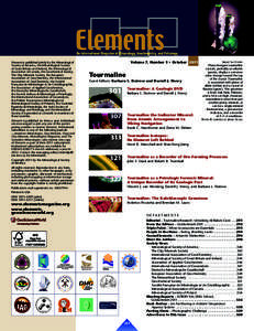 Petrology / Elements: An International Magazine of Mineralogy /  Geochemistry /  and Petrology / Borate minerals / Cyclosilicates / Geochemical Society / Frank Hawthorne / Tourmaline / American Mineralogist / European Association of Geochemistry / Geology / Chemistry / Geochemistry