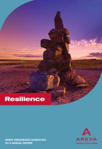 Resilience  AREVA RESOURCES CANADA INC[removed]ANNUAL REVIEW  Table of Contents