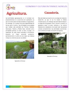 Las actividades agropecuarias en el municipio son preponderantes en la economía de la población, ya que la tercera parte de ésta se dedica a la agricultura, sin embargo, en el campo hay poca disponibilidad de tierras 