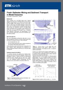 Fresh-/Saltwater Mixing and Sediment Transport in Model Estuaries