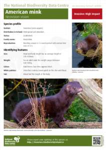 The National Biodiversity Data Centre  American mink Neovision vision  Documenting Ireland’s Wildlife