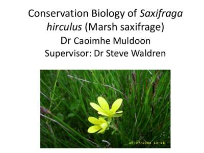 The Conservation Biology of Saxifraga hirculus in Ireland