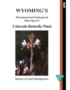 Threatened and Endangered   Plant Species Colorado Butterfly Plant