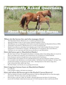 Frequently Asked Questions  About The Local Wild Horses Where do the horses live and who manages them? • •