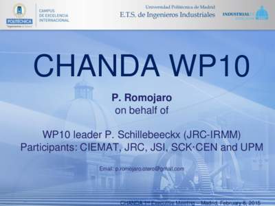 CHANDA WP10 P. Romojaro on behalf of WP10 leader P. Schillebeeckx (JRC-IRMM) Participants: CIEMAT, JRC, JSI, SCK·CEN and UPM Email: 