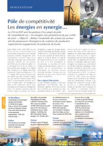 I N N O VAT I O N  Pôle de compétitivité Les énergies en synergie… Le CEA et EDF sont les porteurs d’un projet de pôle de compétitivité sur « les énergies non génératrices de gaz à effet