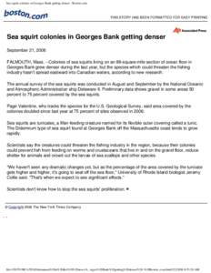 Sea squirt colonies in Georges Bank getting denser - Boston.com