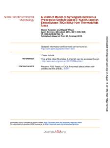 A Distinct Model of Synergism between a Processive Endocellulase (TfCel9A) and an Exocellulase (TfCel48A) from Thermobifida fusca  Updated information and services can be found at: