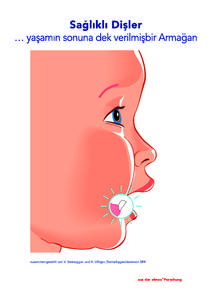 zusammengestellt von V. Steinegger und H. Villiger, Dentalhygienikerinnen SRK  aus der elmex® Forschung Çocu¤unuz Genel Sa¤lık ve A¤ız Sa¤lı¤ı yolunda