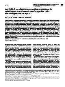 Cerebrum / Neurobiology / Biotechnology / Subgranular zone / Neural stem cell / Subventricular zone / Neurogenesis / Protein P16 / Hippocampus / Biology / Neuroanatomy / Stem cells