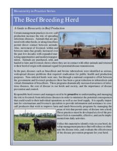 Biosecurity in Practice Series  The Beef Breeding Herd A Guide to Biosecurity in Beef Production Certain management practices in cow–calf production increase the risk of spreading