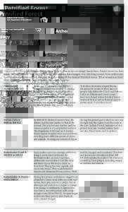 Puebloan peoples / Petrified Forest National Park / Pueblo culture / Ancient Pueblo Peoples / Agate House Pueblo / Kiva / Pueblo / Petrified wood / Pecos Classification / History of North America / Americas / Native American history