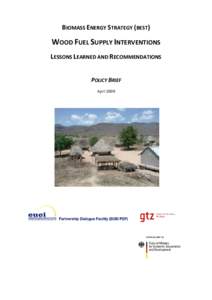 BIOMASS ENERGY STRATEGY (BEST)   WOOD FUEL SUPPLY INTERVENTIONS  LESSONS LEARNED AND RECOMMENDATIONS   