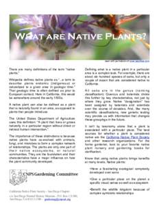 Plants / Native plant / California Native Plant Society / Botany / Quercus agrifolia