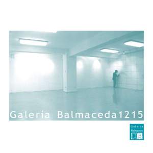 Galería Balmaceda1215  Galería Balmaceda 1215 Alejandra Serrano Madrid  Directora Ejecutiva Corporación Cultural Balmaceda 1215