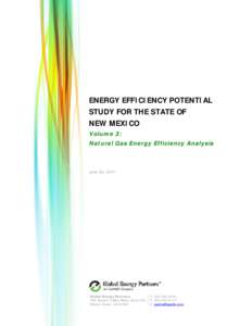 Microsoft Word - State of New Mexico EE Potential Study_Vol 3 Natural Gas_Final