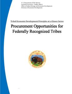 Federal Acquisition Regulation / Government procurement in the United States / Procurement / Bureau of Indian Affairs / Business / Public administration / Government procurement / Government / Title 25 of the United States Code