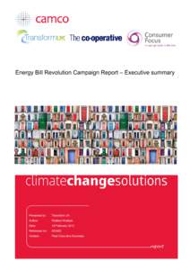 Microsoft Word - Energy Bill Revolution Campaign_FinalExecSum v2