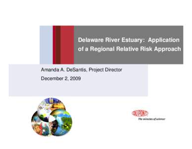 Delaware River Estuary: Application of a Regional Relative Risk Approach Amanda A. DeSantis, Project Director December 2, 2009