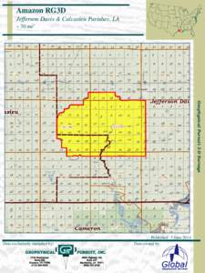 Amazon RG3D Jefferson Davis & Calcasieu Parishes, LA ~ 70 mi2 Geophysical Pursuit 3-D Surveys