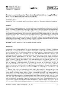 Cardamom Mountains / Heinrich Kuhl / Megophrys / Megophryidae / Taxonomy