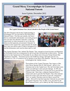 Dec.2012.Issue.Update.pub