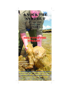 KNOCK THE SNOT OUT OF AQUATIC INVASIVE SPECIES