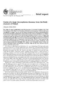 Paleontology / Anomoepus / Scelidosaurus / Otozoum / Early Jurassic / Hettangian / Eubrontes / Grallator / Stegosauria / Jurassic dinosaurs / Mesozoic / Phanerozoic