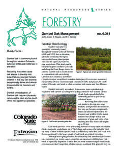 N  A  T  U  R  A  L    R  E  S  O  U  R  C  E  S     S  E  R  I  E  S  FORESTRY Gambel Oak Management	  no[removed]