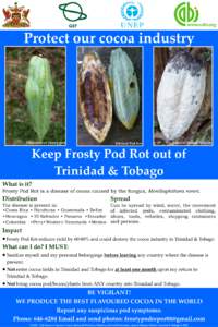 Moniliophthora roreri / Tricholomataceae / Chocolate / Theobroma cacao / Trinidad and Tobago / Moniliophthora perniciosa / Flora / Biogeography / Agriculture