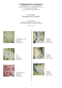 Cy Twombly IV - list of photographs on display.pdf