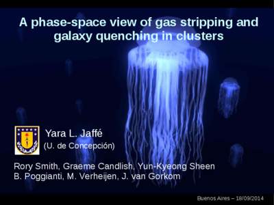 A phase-space view of gas stripping and galaxy quenching in clusters Yara L. Jaffé (U. de Concepción)