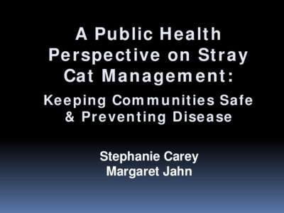 A Public Health Perspective  on Stray Cat Management