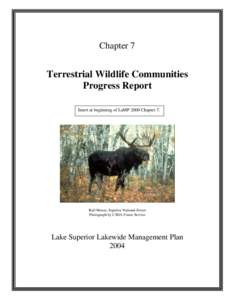 Ecology / Environment / Knowledge / Aquatic ecology / Wetland / Whittlesey Creek National Wildlife Refuge