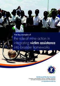 Five key examples of  the role of mine action in integrating victim assistance into broader frameworks