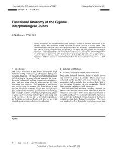 Functional Anatomy of the Equine Interphalangeal Joints