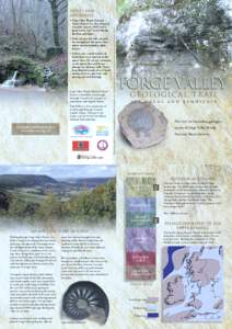 Sedimentary rocks / Forge Valley / River Derwent /  Yorkshire / Oolite / North York Moors / East Ayton / Raincliffe Woods / Vale of Pickering / Limestone / Geography of England / Counties of England / North Yorkshire