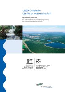 UNESCO-Welterbe Oberharzer Wasserwirtschaft Das Oberharzer Wasserregal Das bedeutendste vorindustrielle Energiegewinnungsund Energieversorgungssystem der Welt  Organisation der