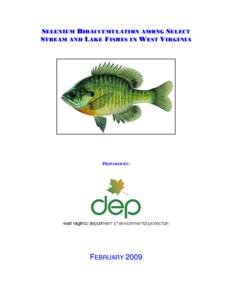 SELENIUM BIOACCUMULATION AMONG SELECT STREAM AND LAKE FISHES IN WEST VIRGINIA PREPARED BY:  FEBRUARY 2009