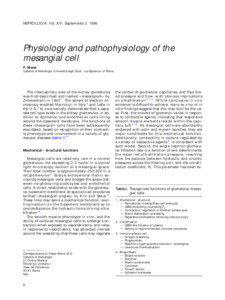 NEFROLOGIA. Vol. XVI. Suplemento[removed]Physiology and pathophysiology of the