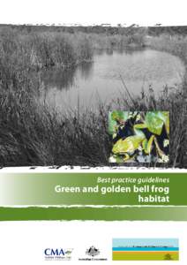 Best practice guidelines  Green and golden bell frog habitat  Green and golden bell frog habitat
