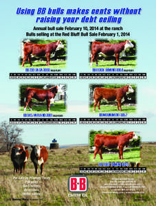 Using BB bulls makes cents without raising your debt ceiling Annual bull sale February 10, 2014 at the ranch Bulls selling at the Red Bluff Bull Sale February 1, 2014  BB 239 SAGA 3003 {DLF,HYF,IEF}